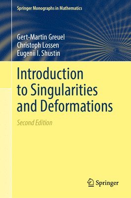 bokomslag Introduction to Singularities and Deformations