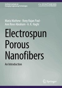 bokomslag Electrospun Porous Nanofibers