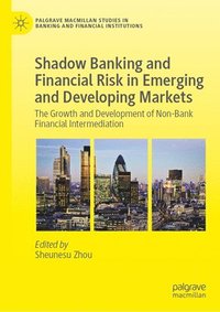 bokomslag Shadow Banking and Financial Risk in Emerging and Developing Markets