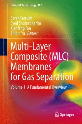 Multi-Layer Composite (MLC) Membranes for Gas Separation 1