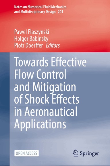 Pawel Flaszynski, Holger Babinsky, Piotr Doerffer - Towards Effective Flow Control and Mitigation of Shock Effects in Aeronautical Applications, Inbunden