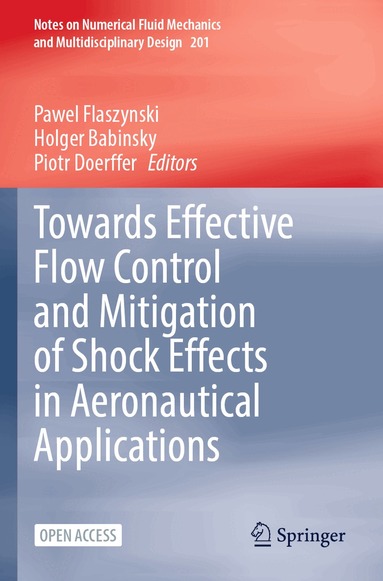 Pawel Flaszynski, Holger Babinsky, Piotr Doerffer - Towards Effective Flow Control and Mitigation of Shock Effects in Aeronautical Applications, Häftad