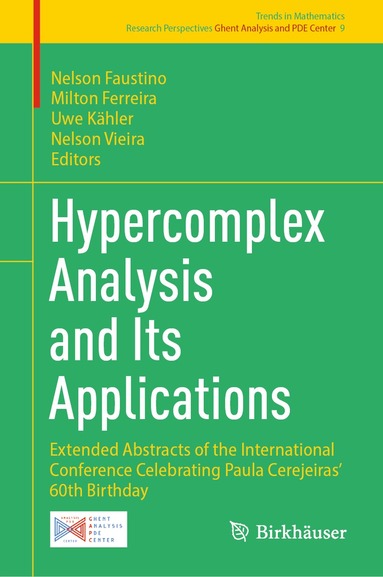 Nelson Faustino, Milton Ferreira, Uwe Kähler, Nelson Vieira - Hypercomplex Analysis and Its Applications, Inbunden