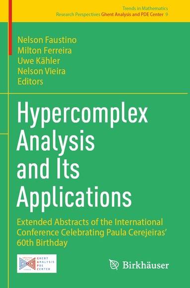 Nelson Faustino, Milton Ferreira, Uwe Kähler, Nelson Vieira - Hypercomplex Analysis and Its Applications, Häftad