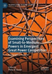 bokomslag Examining Perspectives of Small-to-Medium Powers in Emergent Great Power Competition