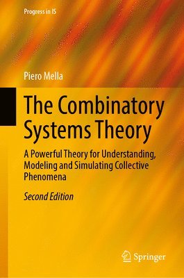 bokomslag The Combinatory Systems Theory