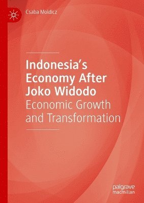 bokomslag Indonesias Economy After Joko Widodo