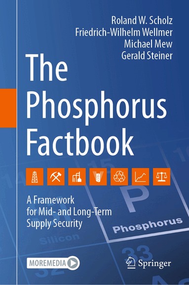 Roland W. Scholz, Friedrich-Wilhelm Wellmer, Michael Mew, Gerald Steiner - Phosphorus Factbook, Inbunden
