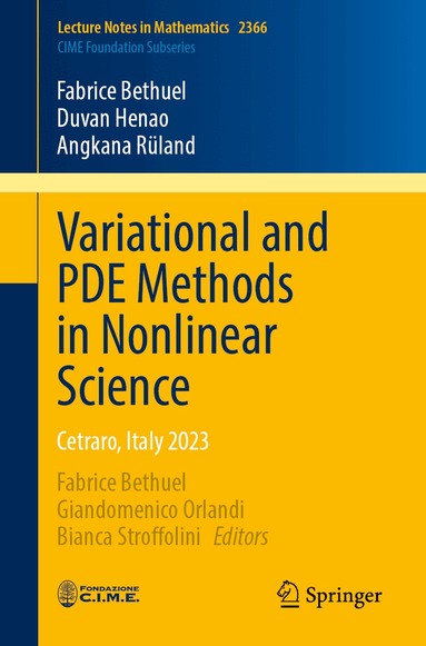Fabrice Bethuel, Duvan Henao, Angkana Rüland, Fabrice Bethuel, Giandomenico Orlandi, Bianca Stroffolini - Variational and PDE Methods in Nonlinear Science, Häftad