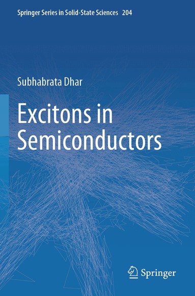 Subhabrata Dhar - Excitons in Semiconductors, Häftad
