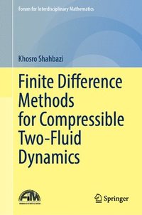 bokomslag Finite Difference Methods for Compressible Two-Fluid Dynamics