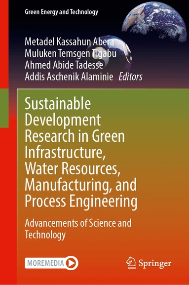 Metadel Kassahun Abera, Muluken Temsgen Tigabu, Ahmed Abide Tadesse, Addis Aschenik Alaminie - Sustainable Development Research in Green Infrastructure, Water Resources, Manufacturing, and Process Engineering, Inbunden