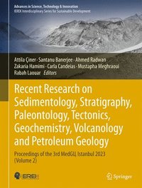 bokomslag Recent Research on Sedimentology, Stratigraphy, Paleontology, Tectonics, Geochemistry, Volcanology and Petroleum Geology