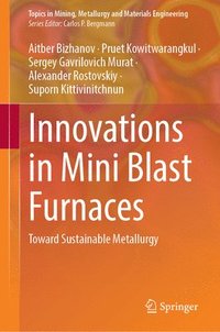 bokomslag Innovations in Mini Blast Furnaces