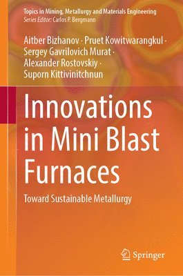 bokomslag Innovations in Mini Blast Furnaces