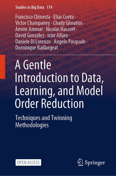 Francisco Chinesta, Elías Cueto, Victor Champaney, Chady Ghnatios, Amine Ammar, Nicolas Hascoët, David González, Icíar Alfaro, Daniele Di Lorenzo, Angelo Pasquale, Dominique Baillargeat - Gentle Introduction to Data, Learning, and Model Order Reduction, Inbunden
