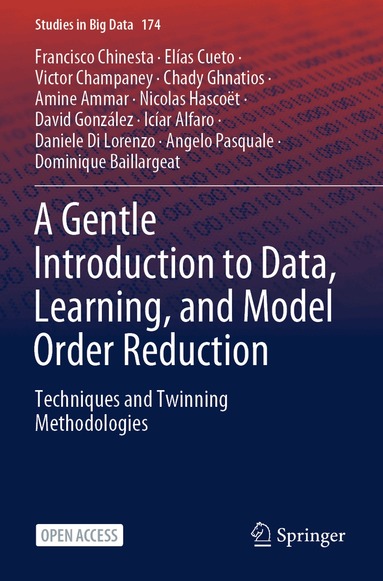 Francisco Chinesta, Elías Cueto, Victor Champaney, Chady Ghnatios, Amine Ammar, Nicolas Hascoët, David González, Icíar Alfaro, Daniele Di Lorenzo, Angelo Pasquale, Dominique Baillargeat - Gentle Introduction to Data, Learning, and Model Order Reduction, Häftad