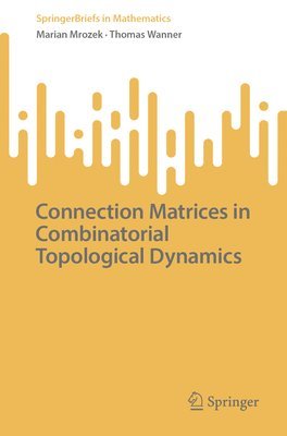 Connection Matrices in Combinatorial Topological Dynamics 1