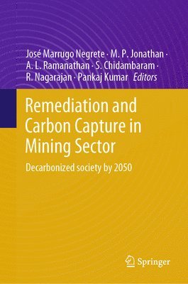 bokomslag Remediation and Carbon Capture in Mining Sector