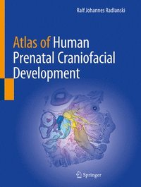 bokomslag Atlas of Human Prenatal Craniofacial Development