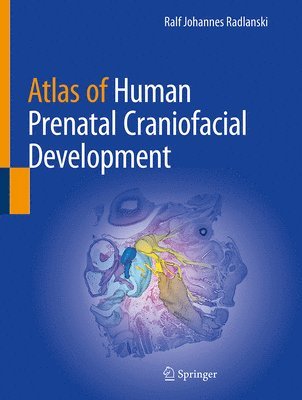 bokomslag Atlas of Human Prenatal Craniofacial Development