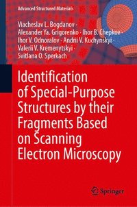 bokomslag Identification of Special-Purpose Structures by Their Fragments Based on Scanning Electron Microscopy