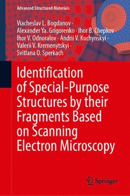 bokomslag Identification of Special-Purpose Structures by their Fragments Based on Scanning Electron Microscopy