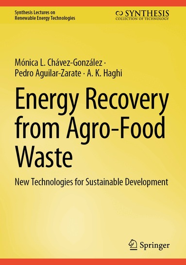 Mónica L. Chávez-González, Pedro Aguilar-Zarate, A. K. Haghi - Energy Recovery from Agro-Food Waste, Inbunden