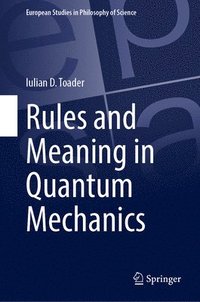 bokomslag Rules and Meaning in Quantum Mechanics