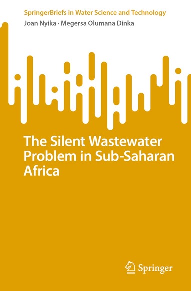 Joan Nyika, Megersa Olumana Dinka - Silent Wastewater Problem in Sub-Saharan Africa, Häftad