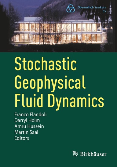 Franco Flandoli, Darryl Holm, Amru Hussein, Martin Saal - Stochastic Geophysical Fluid Dynamics, Häftad