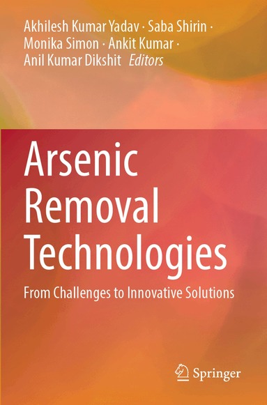Akhilesh Kumar Yadav, Saba Shirin, Monika Simon, Ankit Kumar, Anil Kumar Dikshit - Arsenic Removal Technologies, Häftad