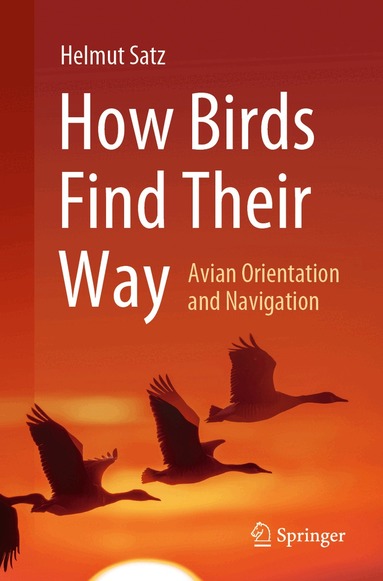 Helmut Satz - How Birds Find Their Way, Häftad