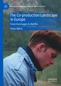 bokomslag Co-production Landscape in Europe