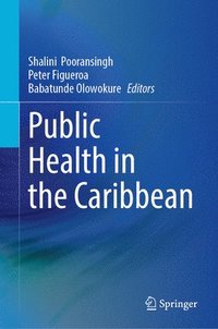 bokomslag Public Health in the Caribbean