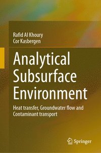 bokomslag Analytical Subsurface Environment