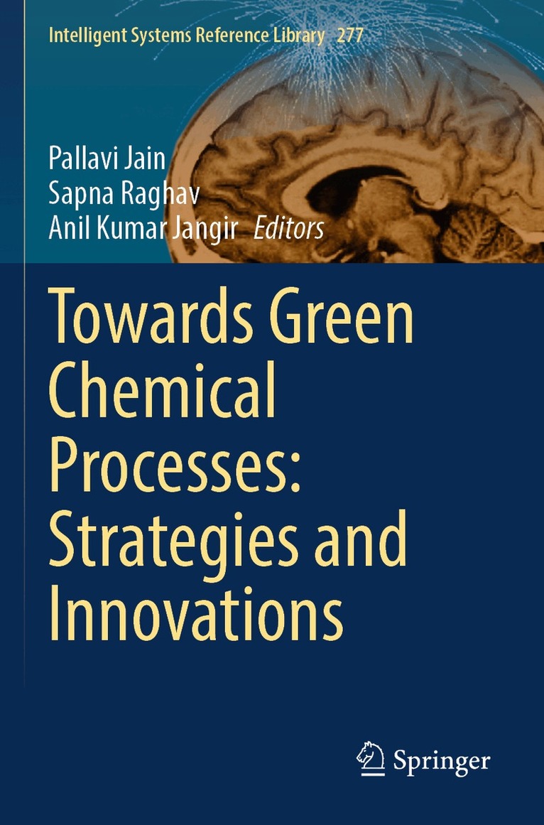 Pallavi Jain, Sapna Raghav, Anil Kumar Jangir - Towards Green Chemical Processes: Strategies and Innovations, Häftad