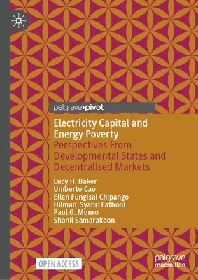 Electricity Capital and Energy Poverty 1