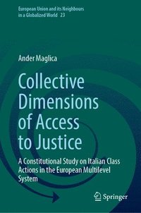 bokomslag Collective Dimensions of Access to Justice