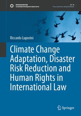 bokomslag Climate Change Adaptation, Disaster Risk Reduction and Human Rights in International Law