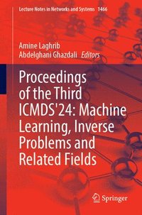bokomslag Proceedings of the Third ICMDS'24: Machine Learning, Inverse Problems and Related Fields