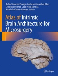 bokomslag Atlas of Intrinsic Brain Architecture for Microsurgery