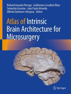 Atlas of Intrinsic Brain Architecture for Microsurgery 1