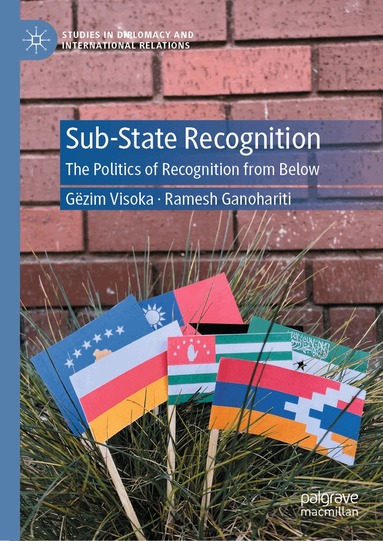 Gëzim Visoka, Ramesh Ganohariti - Sub-State Recognition, Inbunden