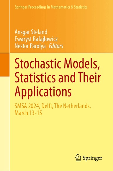 Ansgar Steland, Ewaryst Rafajłowicz, Nestor Parolya - Stochastic Models, Statistics and Their Applications, Inbunden