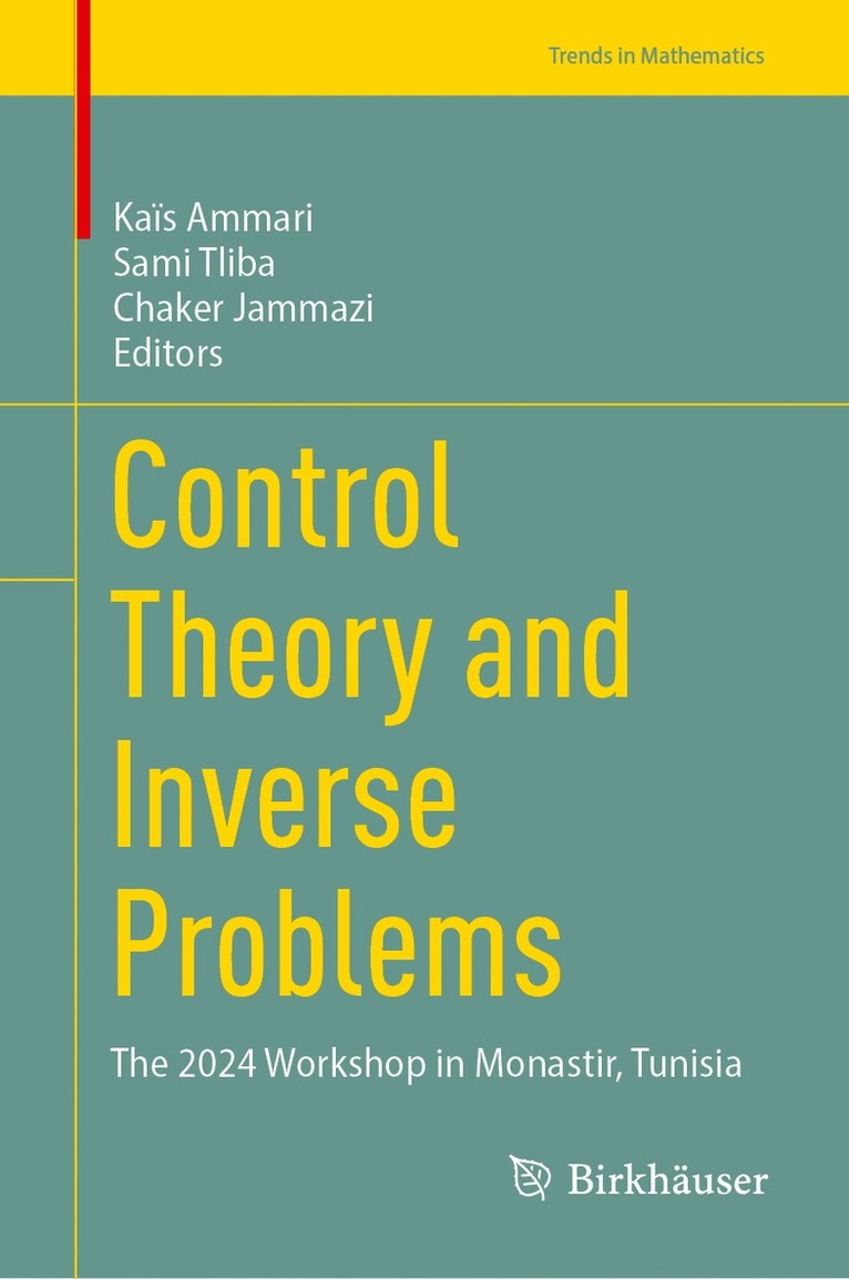 Kaïs Ammari, Sami Tliba, Chaker Jammazi - Control Theory and Inverse Problems, Inbunden