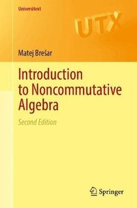 bokomslag Introduction to Noncommutative Algebra