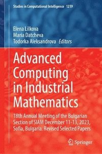 bokomslag Advanced Computing in Industrial Mathematics
