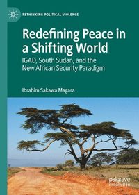 bokomslag Redefining Peace in a Shifting World