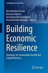 bokomslag Building Economic Resilience